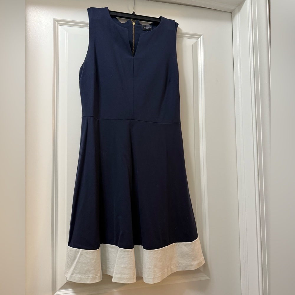 The Limited Navy and Cream Midi Dress